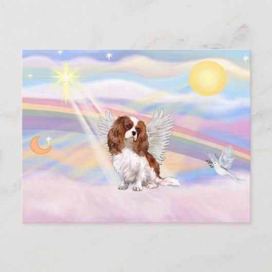 Cavalier King Charles Spaniel Postkarte (Vorderseite)
