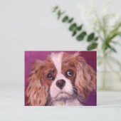 Cavalier King Charles Spaniel Postkarte (Stehend Vorderseite)