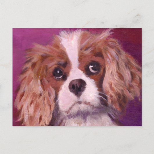 Cavalier King Charles Spaniel Postkarte (Vorderseite)