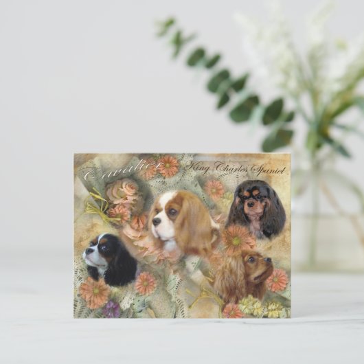 Cavalier King Charles Spaniel Postkarte (Stehend Vorderseite)