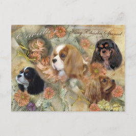 Cavalier King Charles Spaniel Postkarte