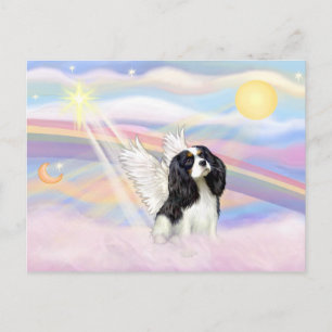 Cavalier King Charles Spaniel Postkarte