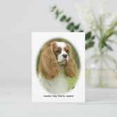 Cavalier King Charles Spaniel Postkarte (Stehend Vorderseite)
