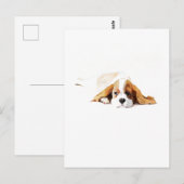 Cavalier King Charles Spaniel Postkarten Geschenk (Vorne/Hinten)