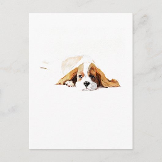 Cavalier King Charles Spaniel Postkarten Geschenk (Vorderseite)