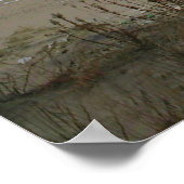 Cavalier King Charles Spaniel Print Poster (Ecke)