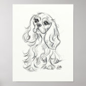Cavalier king charles spaniel print | Skizze Poster (Vorne)