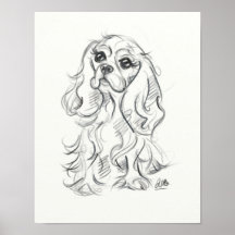 Cavalier king charles spaniel print | Skizze