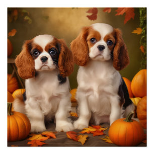 Cavalier King Charles Spaniel Puppy Autumn Pumpkin Poster