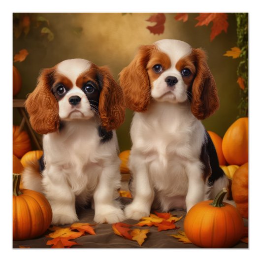 Cavalier King Charles Spaniel Puppy Autumn Pumpkin Poster (Vorderseite)