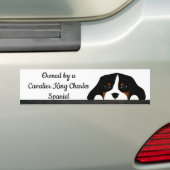 Cavalier King Charles Spaniel Puppy Dog Autoaufkleber (Auf Auto)