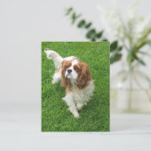 Cavalier King Charles Spaniel Puppy Dog Post Card Postkarte (Stehend Vorderseite)
