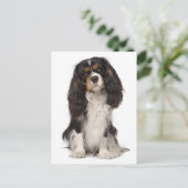 Cavalier King Charles Spaniel Puppy Dog Postkarte (Stehend Vorderseite)
