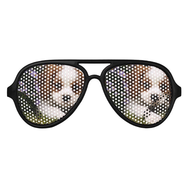 Cavalier King Charles Spaniel Puppy hinter Blume Partybrille (Vorderseite)