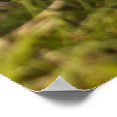 Cavalier King Charles Spaniel Puppy hinter Blume Poster (Ecke)