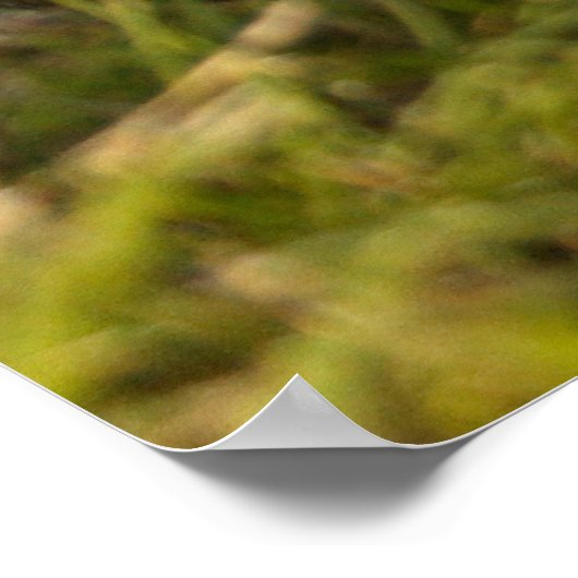 Cavalier King Charles Spaniel Puppy hinter Blume Poster (Ecke)