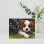 Cavalier King Charles Spaniel Puppy hinter Blume Postkarte (Stehend Vorderseite)