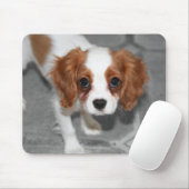 Cavalier King Charles Spaniel Puppy Mousepad (Mit Mouse)