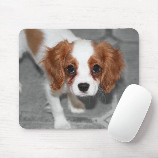 Cavalier King Charles Spaniel Puppy Mousepad (Mit Mouse)