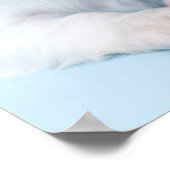 Cavalier King Charles Spaniel Puppy Poster (Ecke)