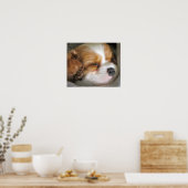Cavalier King Charles Spaniel Puppy Poster (Küche)