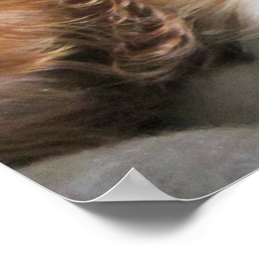 Cavalier King Charles Spaniel Puppy Poster (Ecke)