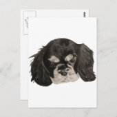 Cavalier King Charles Spaniel Puppy Postkarte (Vorne/Hinten)