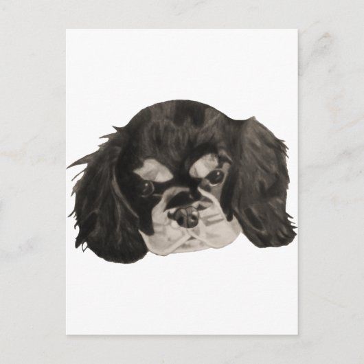 Cavalier King Charles Spaniel Puppy Postkarte (Vorderseite)