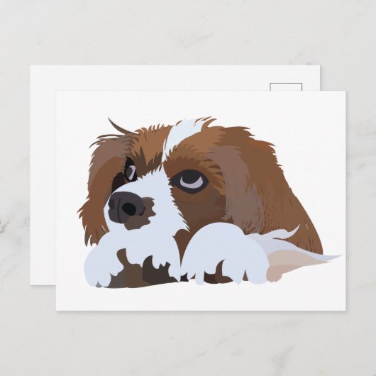 Cavalier King Charles Spaniel Puppy Postkarte (Vorne/Hinten)