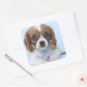Cavalier King Charles Spaniel Puppy Quadratischer Aufkleber (Umschlag)