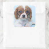 Cavalier King Charles Spaniel Puppy Quadratischer Aufkleber (Tasche)
