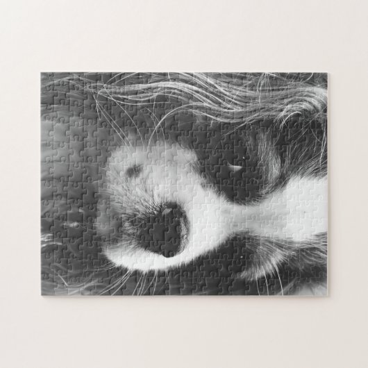 Cavalier King Charles Spaniel Puzzle (Horizontal)