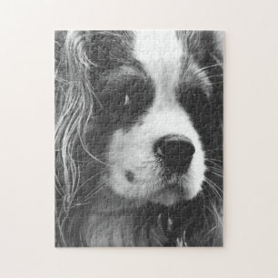 Cavalier King Charles Spaniel Puzzle