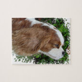 Cavalier King Charles Spaniel Puzzle (Horizontal)