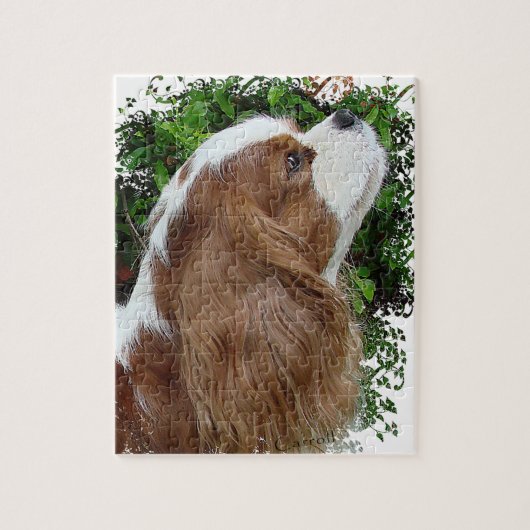 Cavalier King Charles Spaniel Puzzle (Vertikal)