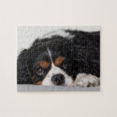Cavalier King Charles Spaniel Puzzle (Horizontal)