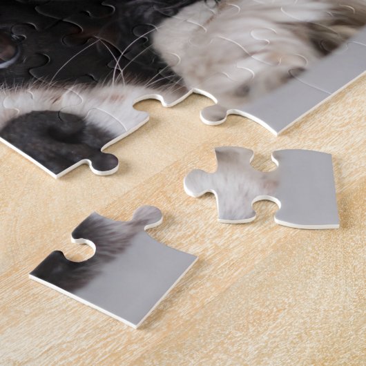 Cavalier King Charles Spaniel Puzzle (Seite)