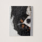 Cavalier King Charles Spaniel Puzzle (Vertikal)