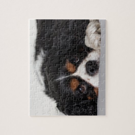 Cavalier King Charles Spaniel Puzzle (Vertikal)