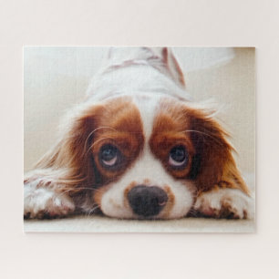 Cavalier King Charles Spaniel Puzzle