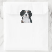 Cavalier King Charles Spaniel Quadratischer Aufkleber (Tasche)