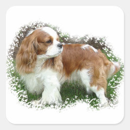 Cavalier King Charles Spaniel Quadratischer Aufkleber