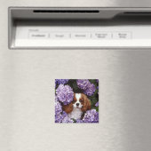 Cavalier King Charles Spaniel Red und White Magnet (In Situ (Geschirrspüler))