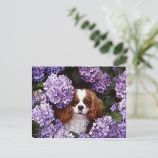 Cavalier King Charles Spaniel Red und White Postkarte (Stehend Vorderseite)