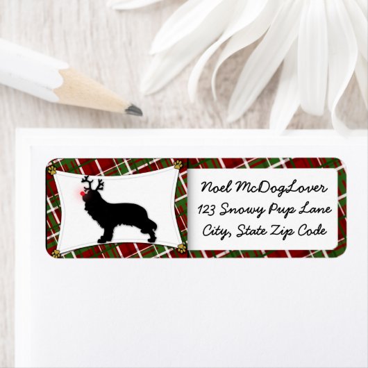 Cavalier King Charles Spaniel Reindeer Christmas (Insitu)