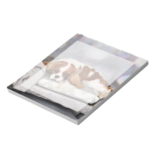 Cavalier King Charles Spaniel - Remington Notizblock (Rotiert)