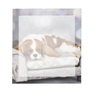 Cavalier King Charles Spaniel - Remington Notizblock