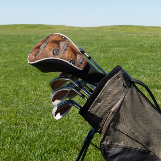 Cavalier_King_Charles_Spaniel_-_ruby-Augen Golf Headcover (In SItu)