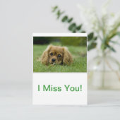 Cavalier King Charles Spaniel Ruby Postkarte (Stehend Vorderseite)