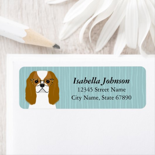 Cavalier King Charles Spaniel Rücksendeadresse (Insitu)